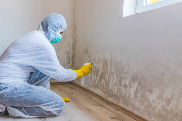Hvac And Air Duct Mold Remediation inspection of HVAC system in Woodbury